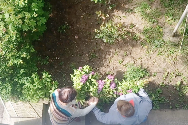 doua-femei-au-vandalizat-liliacul-de-care-sar-fi-putut-bucurat-trecatorii