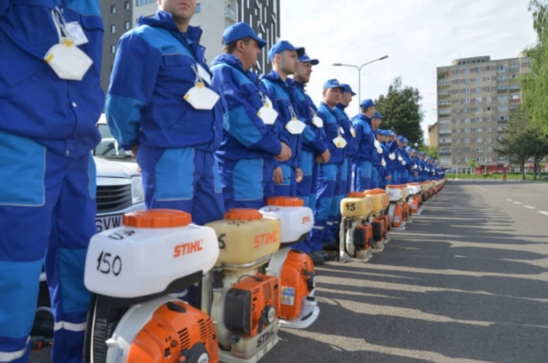 in-18-august-incepe-o-noua-campanie-de-dezinsectie-la-brasov