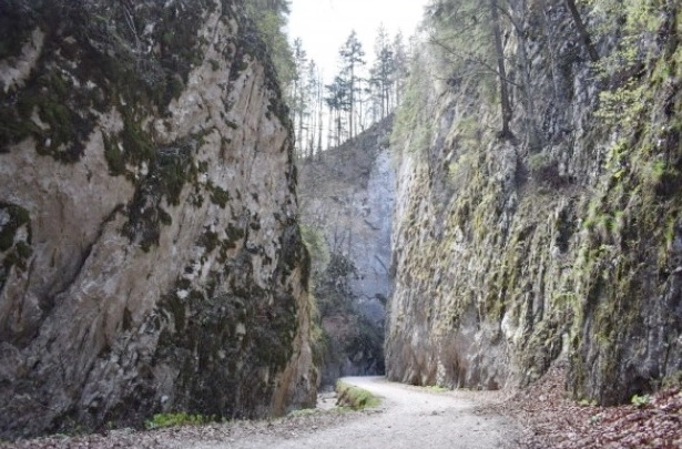 inca-315-hectare-din-parcul-national-piatra-craiului-incluse-in-zona-stricta-de-protectie