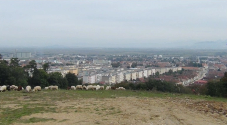 maurer-imobiliare-va-construi-la-codlea-900-de-apartamente