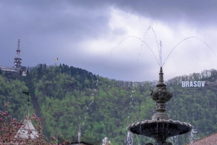 padurea-pinilor-de-pe-tampa-dispare-dar-vine-din-urma-padurea-de-foioase