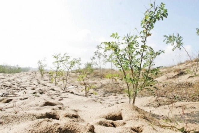 peste-150-de-hectare-de-teren-degradat-din-comunele-cata-ticus-vistea-pregatite-pentru-reimpadurire