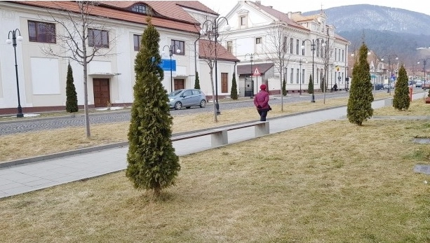 primaria-codlea-organizeaza-licitatie-pentru-a-gasi-o-firma-care-sa-se-ocupe-de-spatiile-verzi-in-urmatorii-4-ani