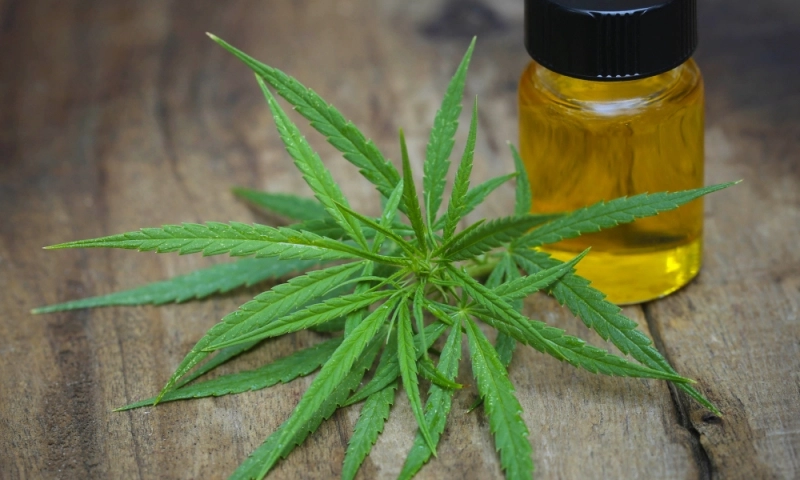 produsele-ce-contin-ulei-cbd-pot-fi-de-ajutor-in-lupta-contra-acestor-afectiuni