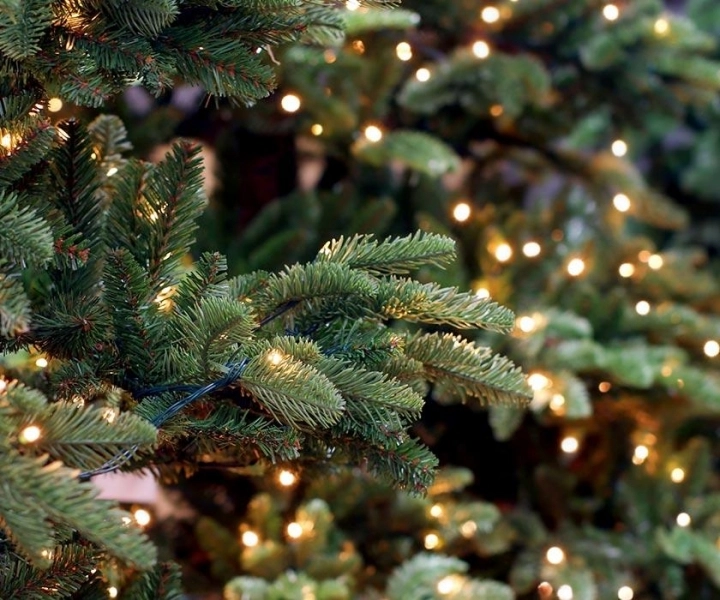 ce-facem-cu-brazii-de-craciun