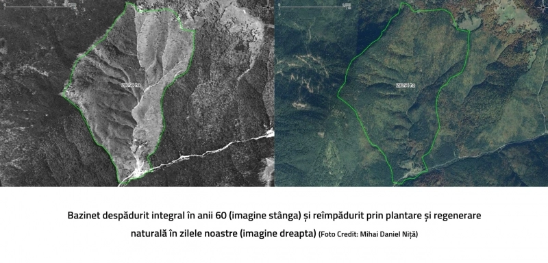 de-la-universitatea-transilvania-din-brasov-in-the-new-york-times
