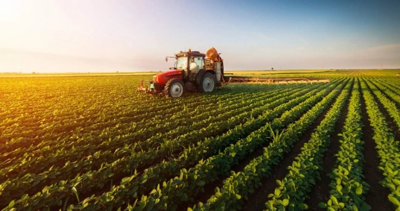 gradul-de-absorbtie-din-fondurile-europene-pentru-agricultura-si-dezvoltare-rurala-a-ajuns-la-80