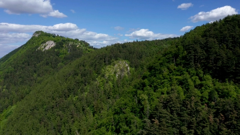 municipalitatea-consulta-brasovenii-cu-privire-la-alternativele-de-drumuri-forestiere-care-sa-inlocuiasca-drumul-gorita