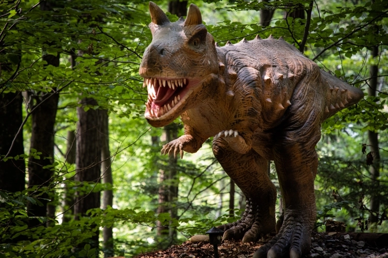 peste-2000000-de-vizitatori-la-dino-parc-in-cei-sase-ani-de-activitate