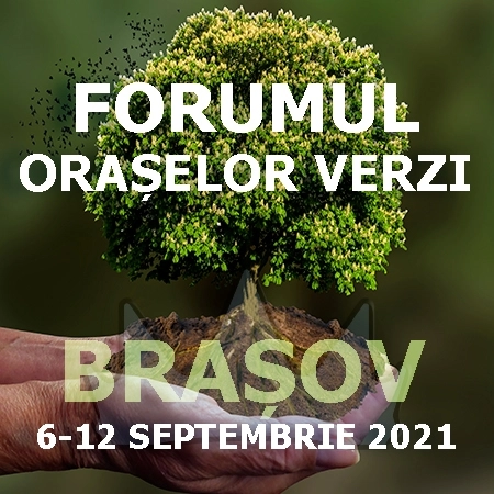 sapte-onguri-vor-sa-organizeze-evenimente-verzi-pe-perioada-desfasurarii-fov