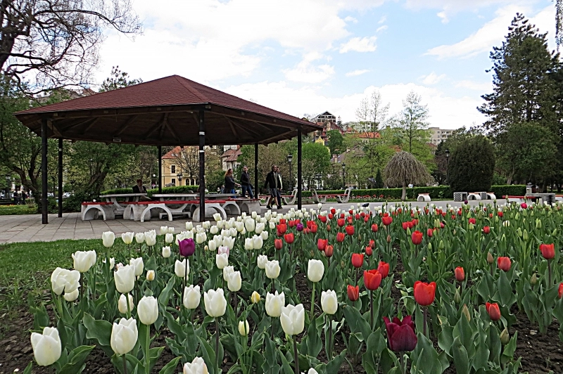 timp-de-doua-saptamani-brasovenii-au-trimis-zeci-de-propuneri-de-completare-a-proiectului-de-buget