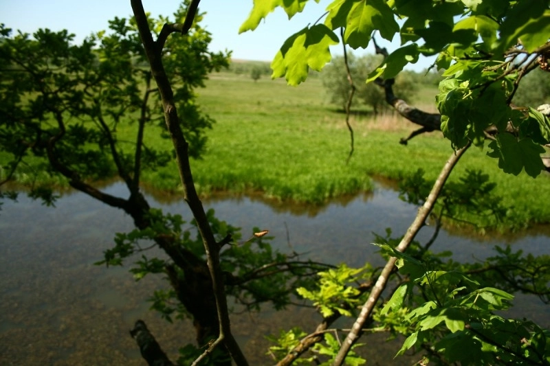 un-grup-de-asociatii-lanseaza-o-ampla-actiune-de-igienizare-a-oltului-in-zona-cotul-turzunului-arie-naturala-protejata