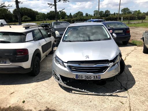 Mi AUTOS