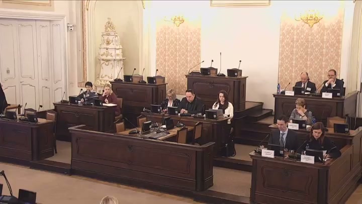 Screenshot — Fričová