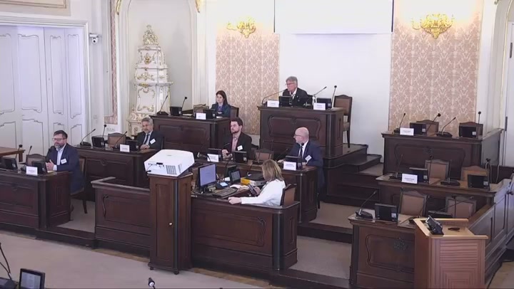 Screenshot — Dalibor Veselý