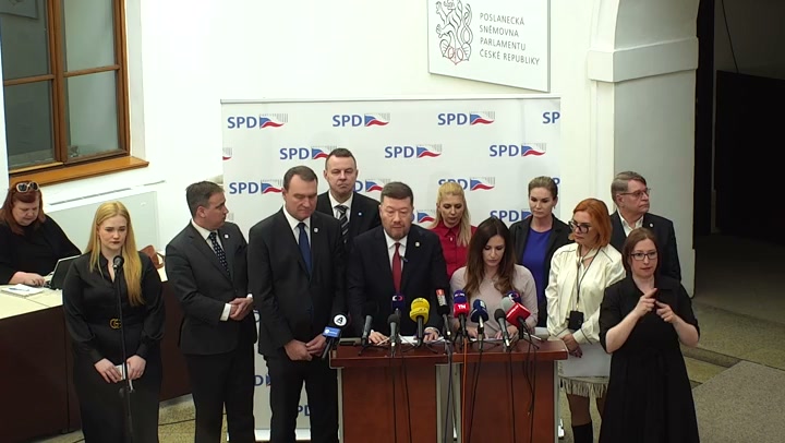 Screenshot — Irena Němcová