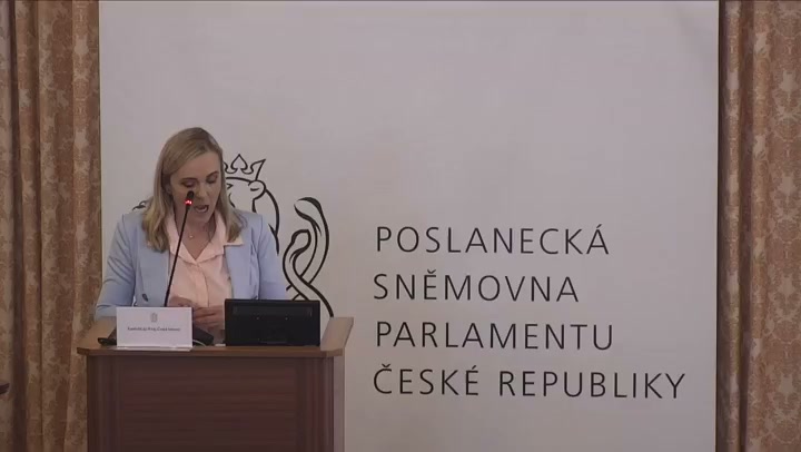 Screenshot — Lucie Plíšková