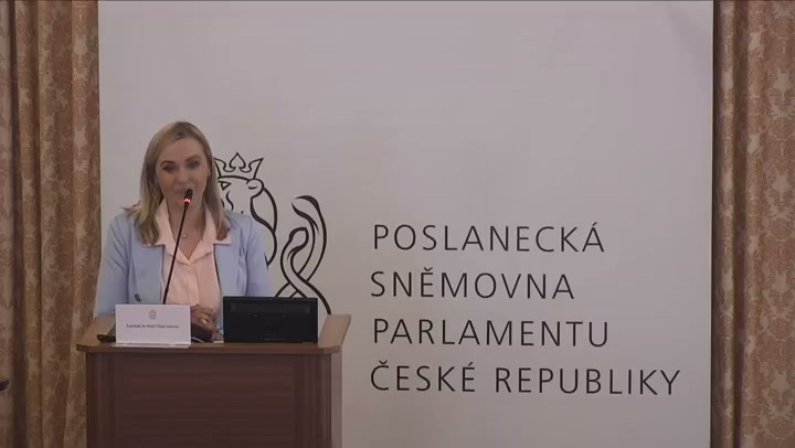Screenshot — Lucie Plíšková
