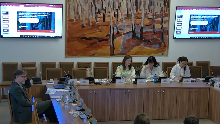 Screenshot — Kateřina Vencová