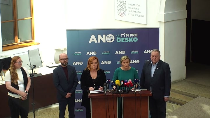 Screenshot — Jana Mračková Vildumetzová