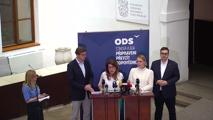Screenshot — Renata Zajíčková
