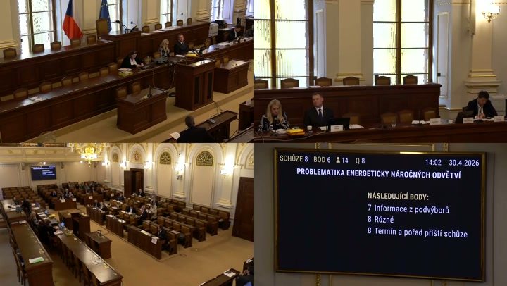 Screenshot — Zástupce Asociace sklářského a keramického průmyslu