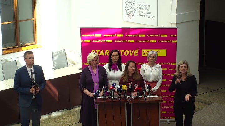 Screenshot — Michaela Šebelová
