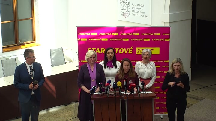 Screenshot — Michaela Šebelová