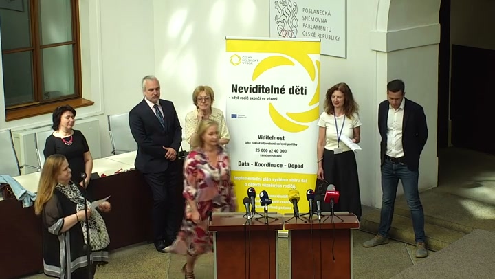 Screenshot — Petra Zdražilová