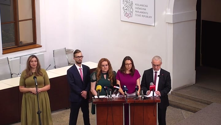 Screenshot — Irena Ferčíková Konečná