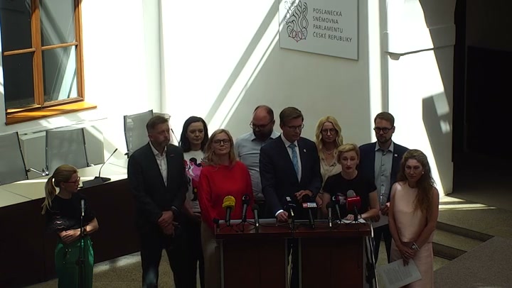 Screenshot — Poslankyně Sourová