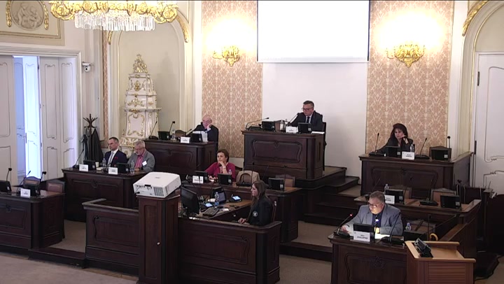 Screenshot — Milan Chalupník