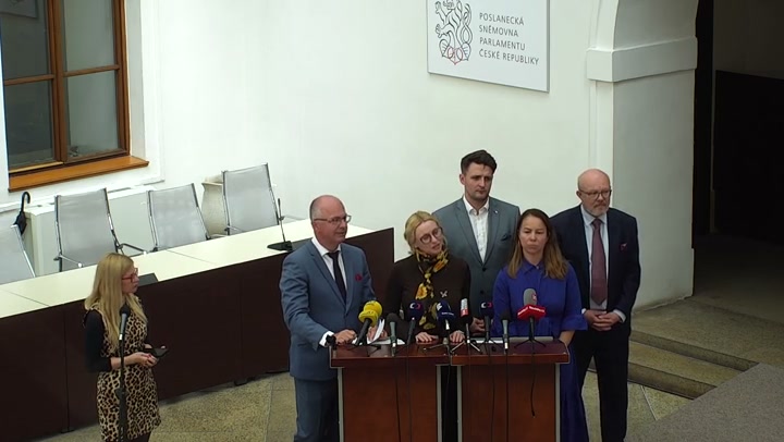 Screenshot — Michaela Šebelová