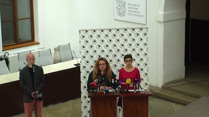 Screenshot — Olga Richtrová