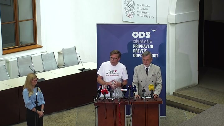 Screenshot — neidentifikovaný řečník