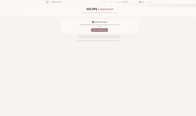 Preview: 300 DPI Converter