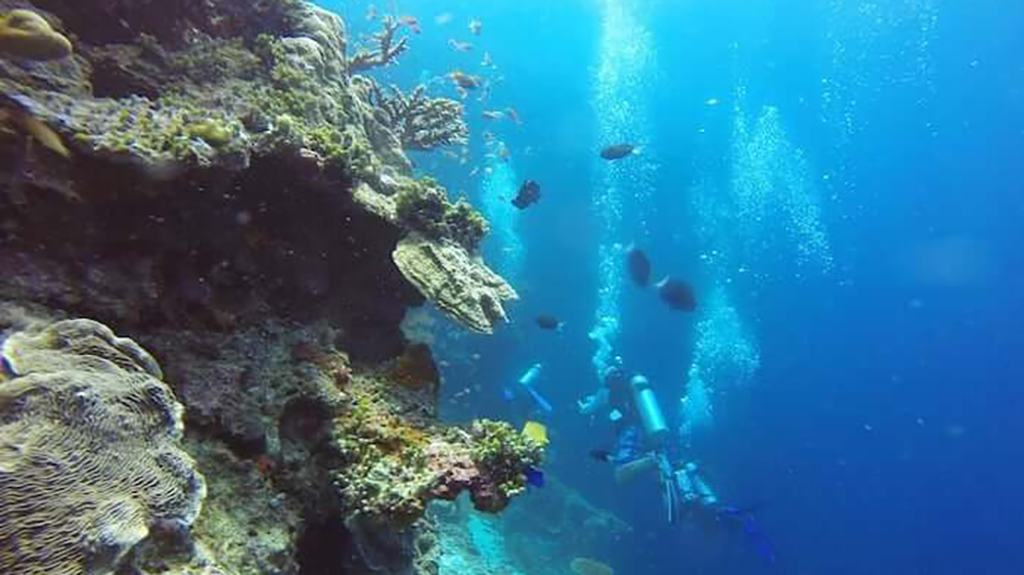 Погружение вдоль стены