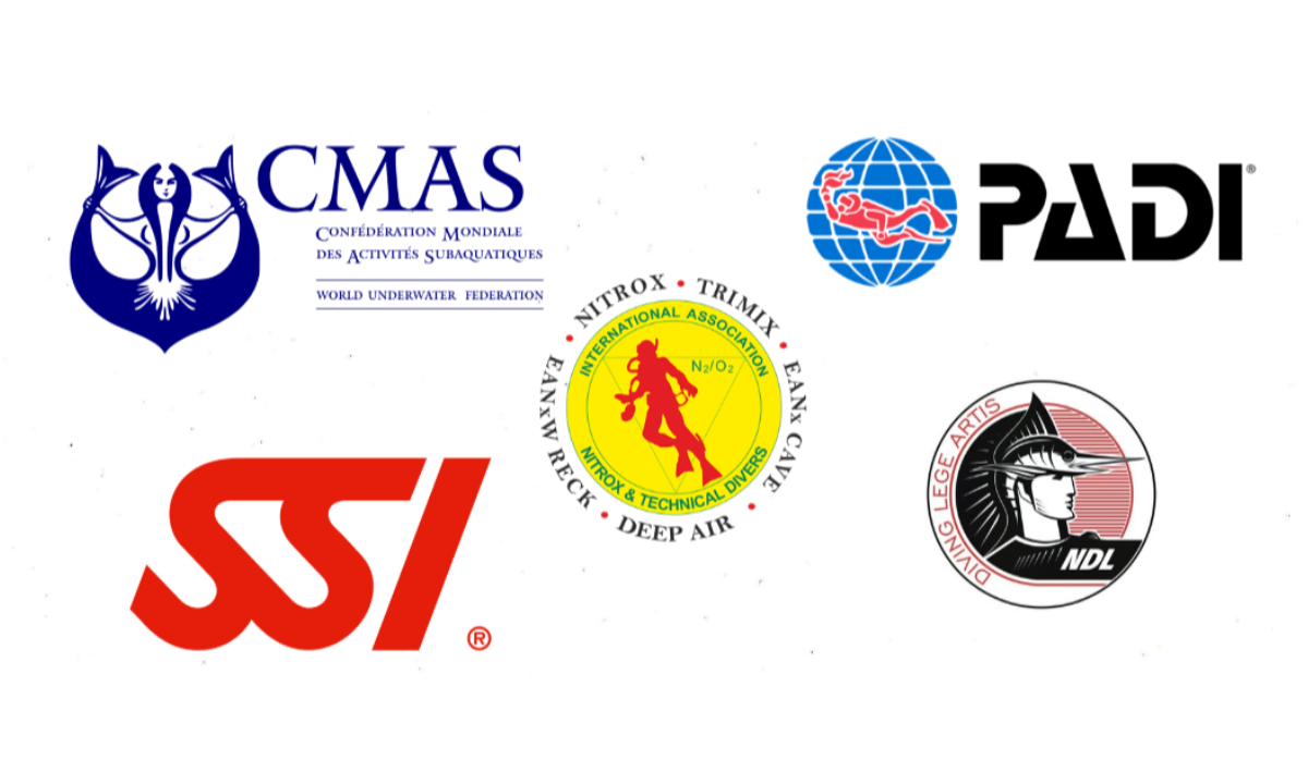 Diving Associations
