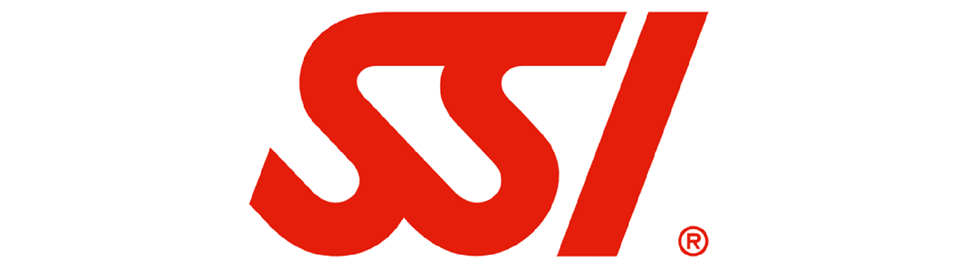 SSI