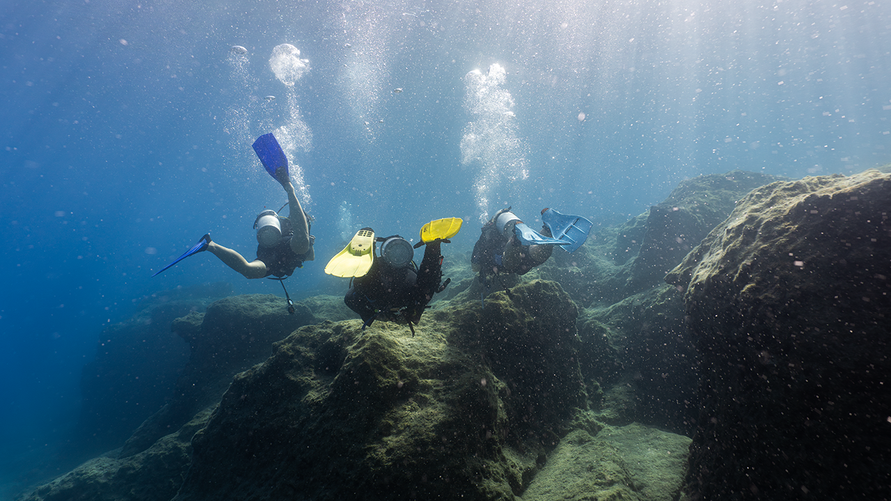 Amphora Corner Divers