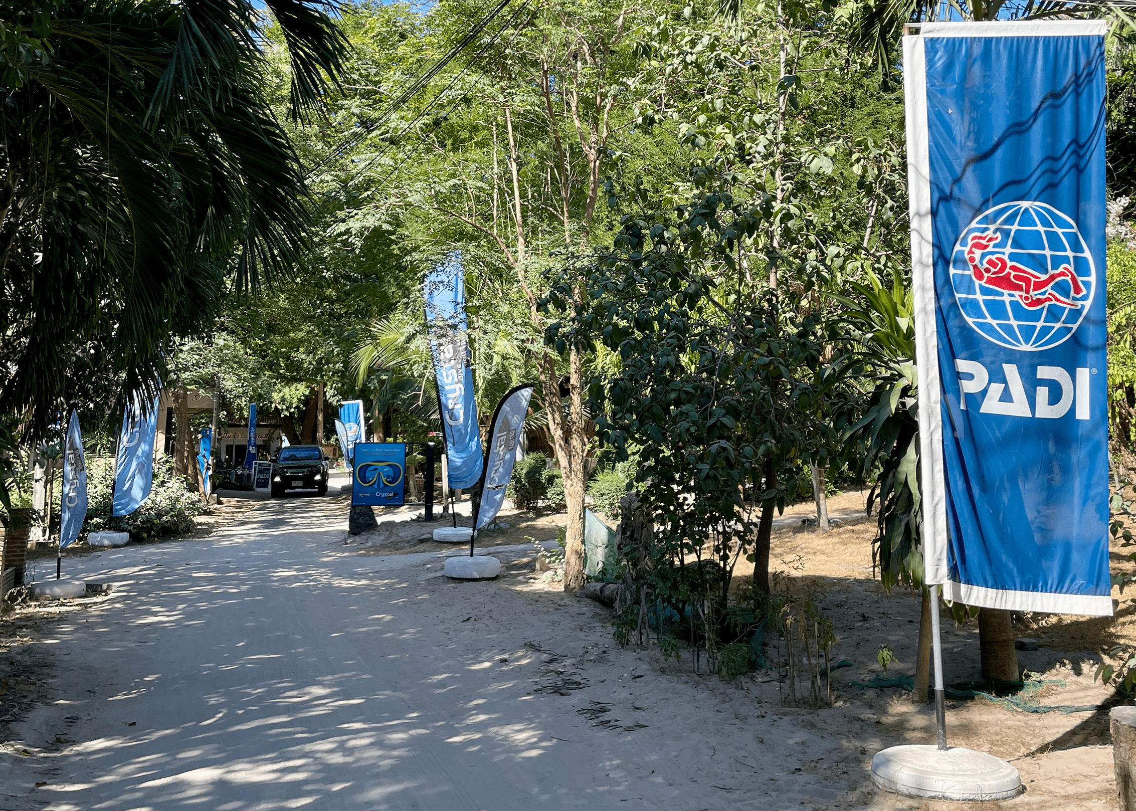 Somewhere on the island