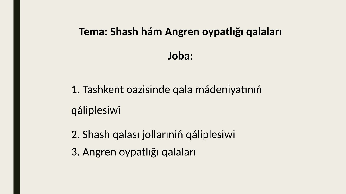 Shash va Angren oazislari tarixiy tadqiqoti