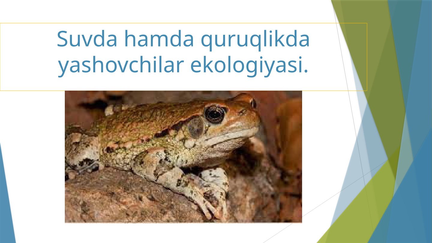 Amfibiyalar Ekologiyasi