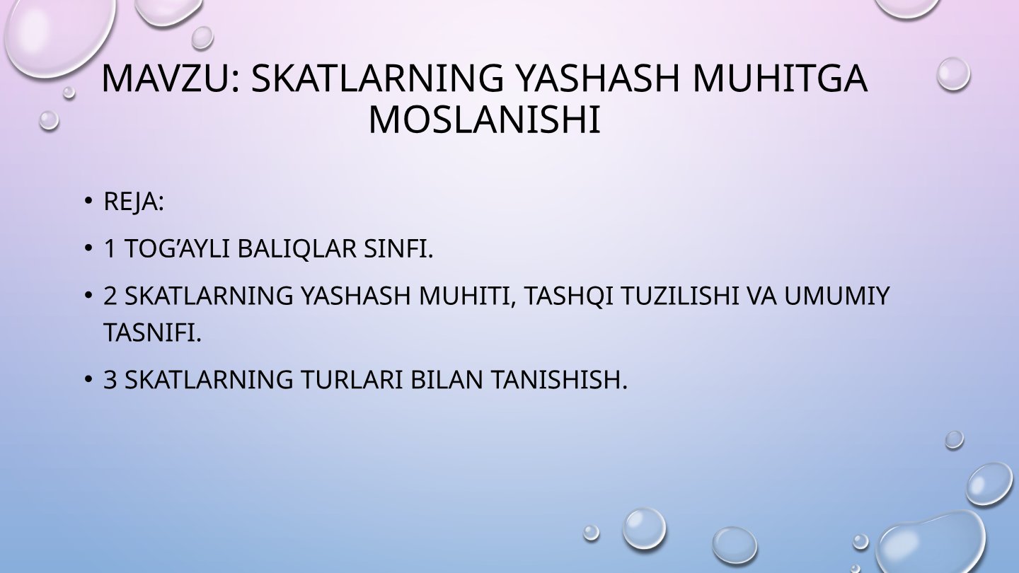 Skatlar haqida ma'lumot