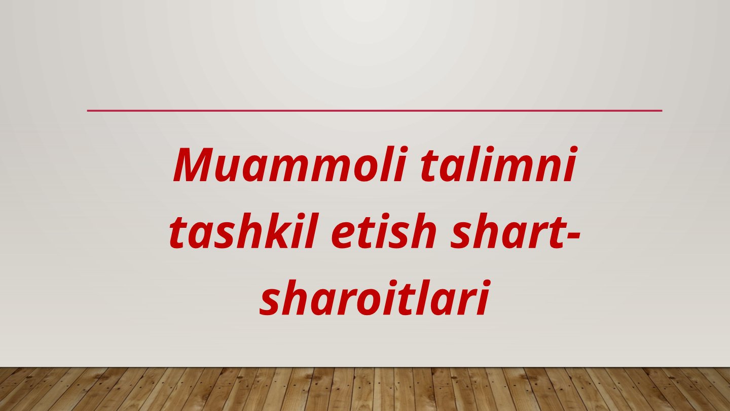 Muammoli Ta'lim Qo'llanmasi