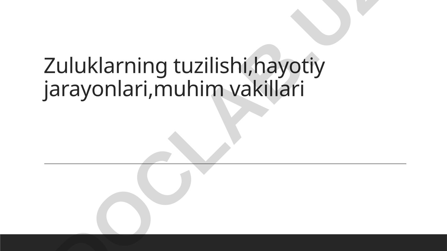 Zuluklarning tuzilishi, hayotiy jarayonlari va muhim vakillari
