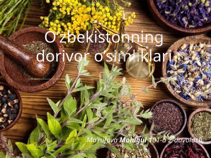 O'zbekistonning dorivor o'simliklari