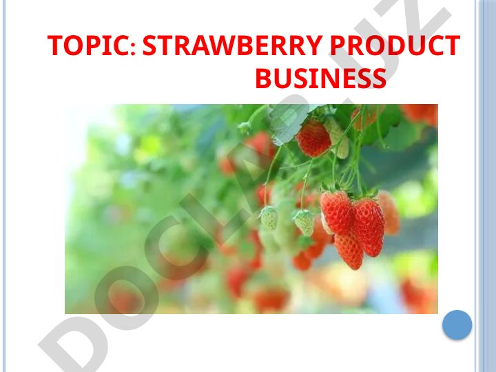 STRAWBERRY PRODUCT BUSINESS