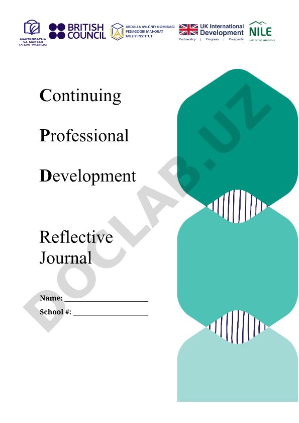 Continuing Professional Development Reflective Journal