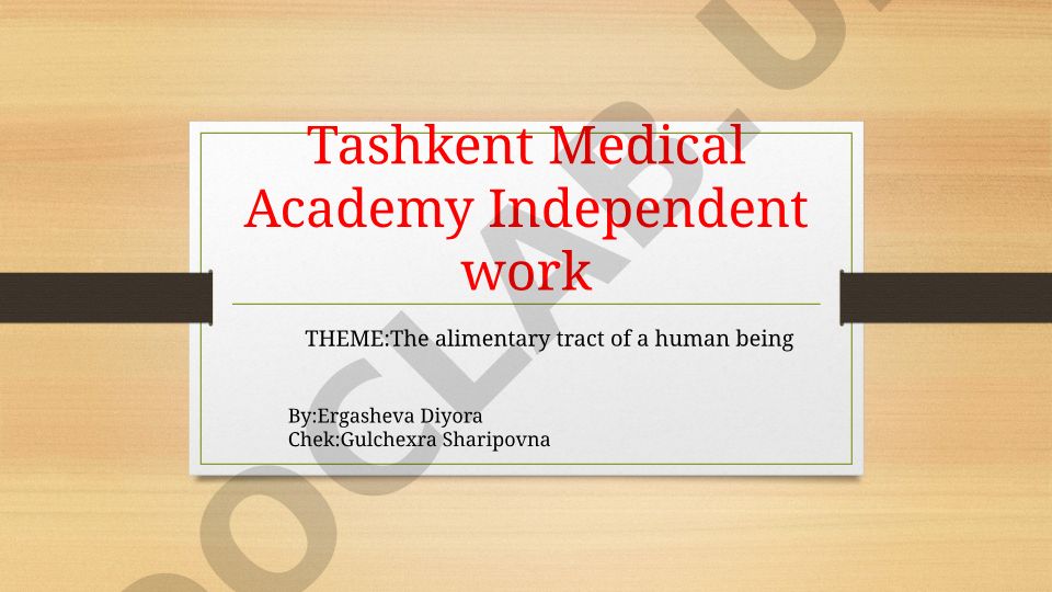 The alimentary tract of a human being